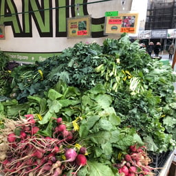 Sauteed Greens
