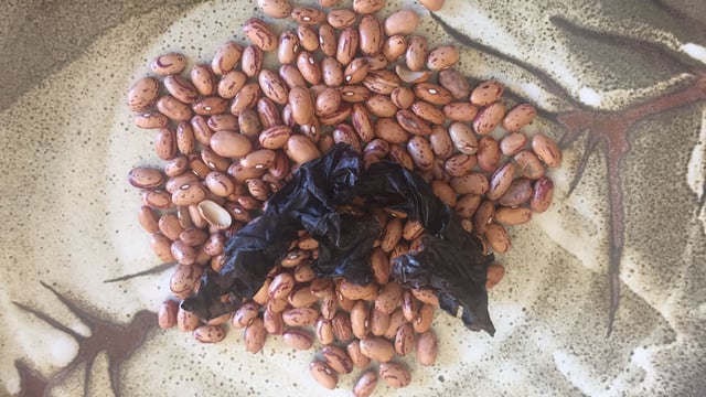 Properly Prepared Beans